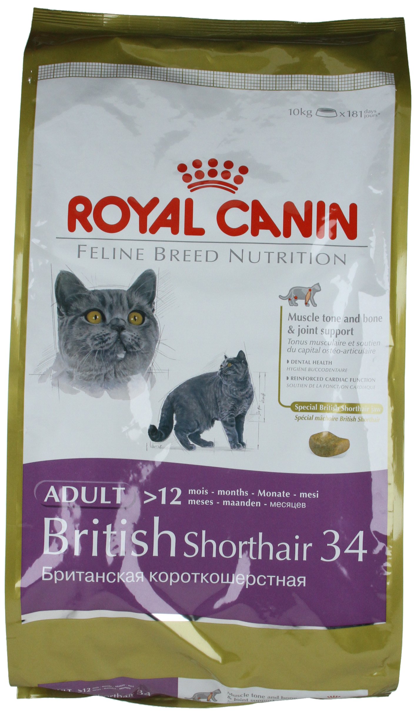 royal canin feline british shorthair 10 kg
