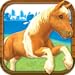 Horse Racing Derby