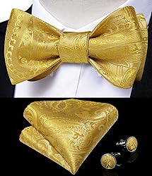 DiBanGu Gold Bow Tie for Men Jacquard Woven Silk