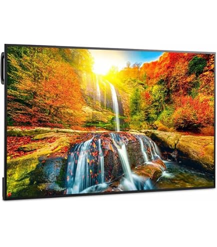 Amazon.com: NEC MultiSync M431 LCD 43