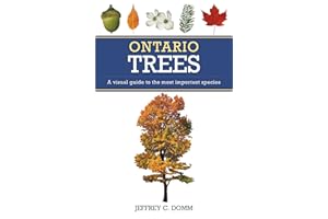 Ontario Trees: A visual guide to the most important species