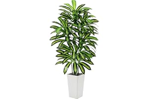 FSOHOI Dracaena Artificial Plant Indoor 5 FT Artificial Dracaena Tree Silk Tree Faux Tree with White Tall Planter Fake Tropic