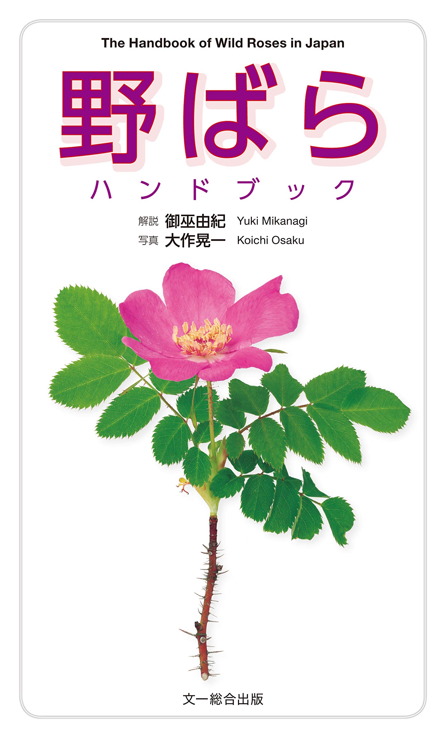 グレイ系最新の激安 野バラ 15本 フラワー ガーデン 日用品 インテリアグレイ系 Www Marengoef Com