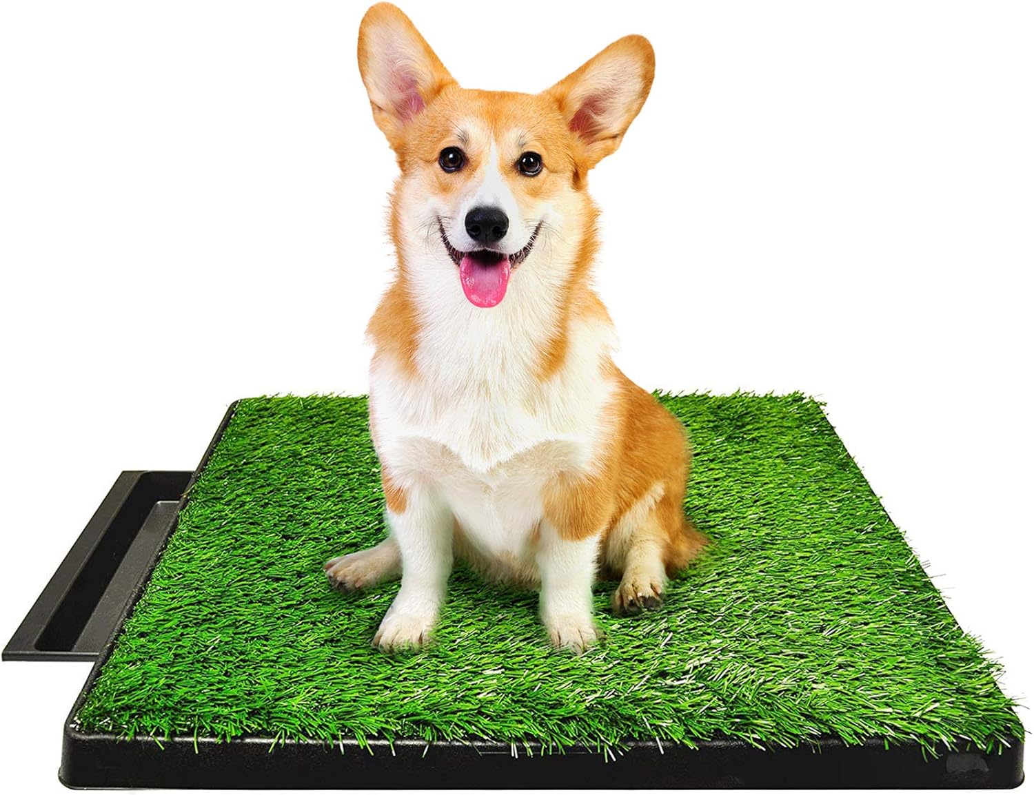 dog pee tray with drainage