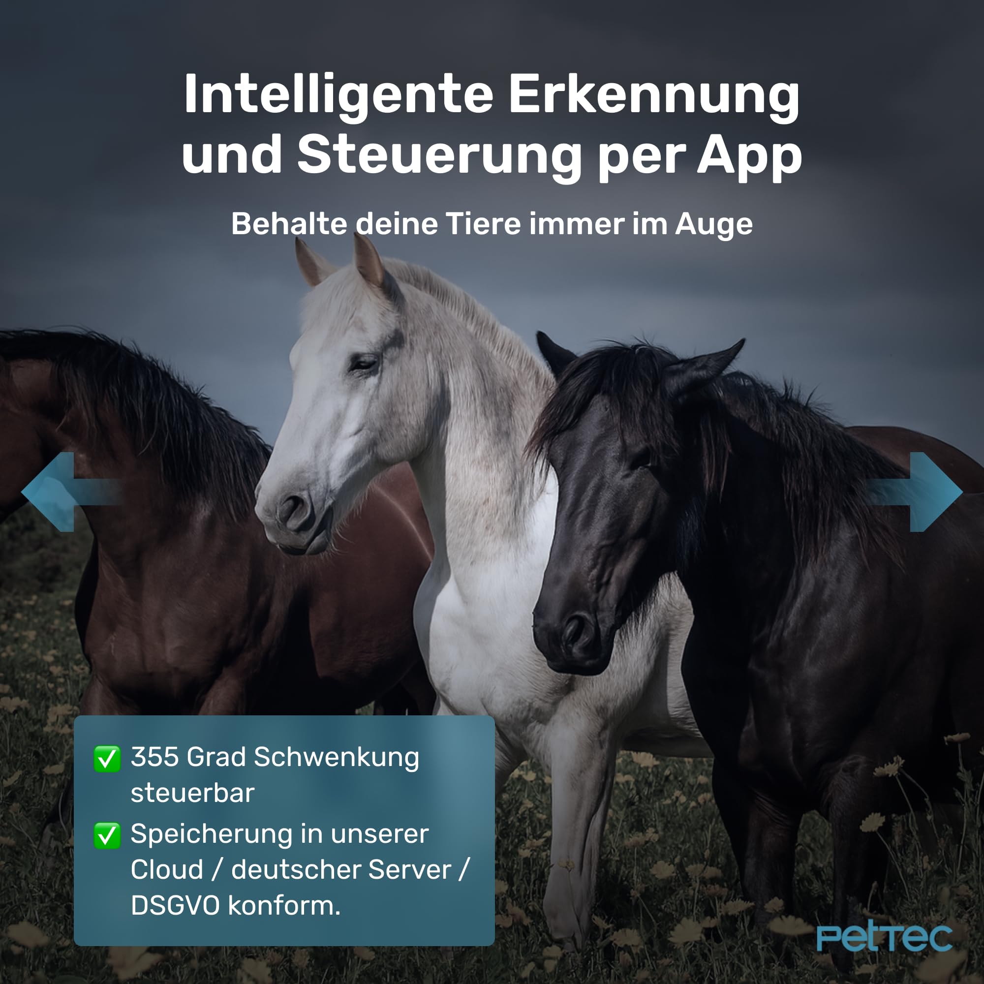 PetTec Cam Free 4G Überwachungskamera [4G/LTE OHNE WLAN] mit Akku & Schwenk Funktion - Outdoorkamera 3MP Ultravision, Bewegungserkennung, 15m Nachtsicht IP65 Flutlicht Sirene, Rückfahrkamera 7
