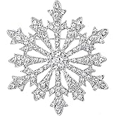 EVER FAITH Women's Austrian Crystal Winter Snowflake Brooch
