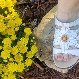 lexi myrtle wedge sandal