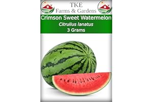 TKE Farms & Gardens - Crimson Sweet Watermelon Seeds for Planting, 3 Grams, 60 Heirloom Non-GMO Seeds, Packet Includes Instructions for Growing, Citrullus lanatus, Qty 1
