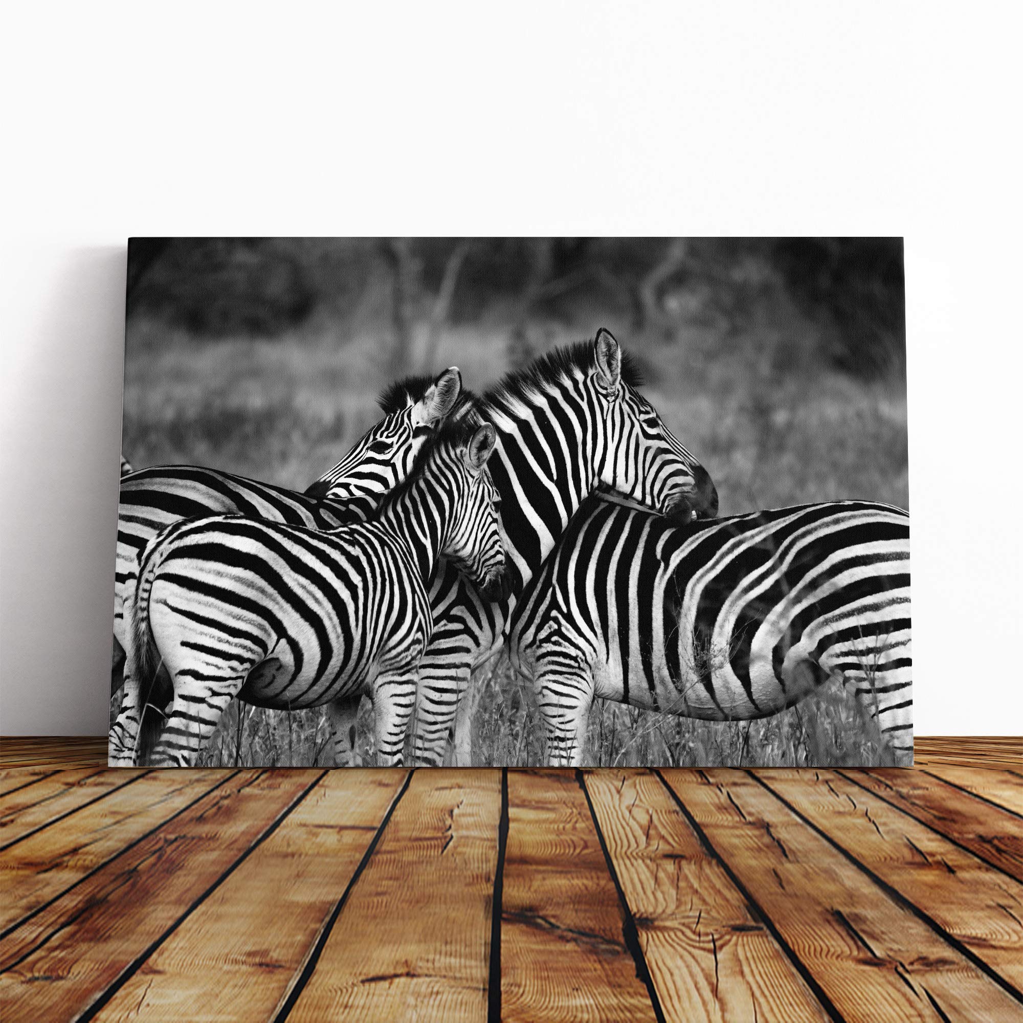 Zebras (2) Canvas Print | Gallery Wrapped 30mm Frame Wall Art | 20x14 inches | Ready to Hang | Modern Animal Picture | Living Room Bedroom Lounge Office