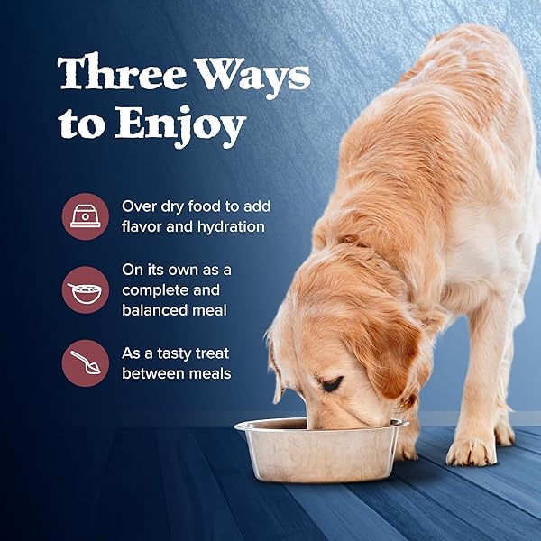 BLUE BUFFALO WILDERNESS ADULT WET DOG FOOD, HIGH-PROTEIN & GRAIN-FREE, MADE WITH NATURAL INGREDIENTS, SALMON & CHICKEN GRILL, 12.5-OZ. CANS, 12 COUNT