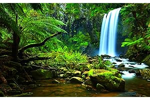 SUZM Aquarium Background, PVC Static Cling Terrarium Background for Amphibian Marine Life, Tropical Rainforest Theme Wallpaper Durable Poster Stickers, 36" x 16"