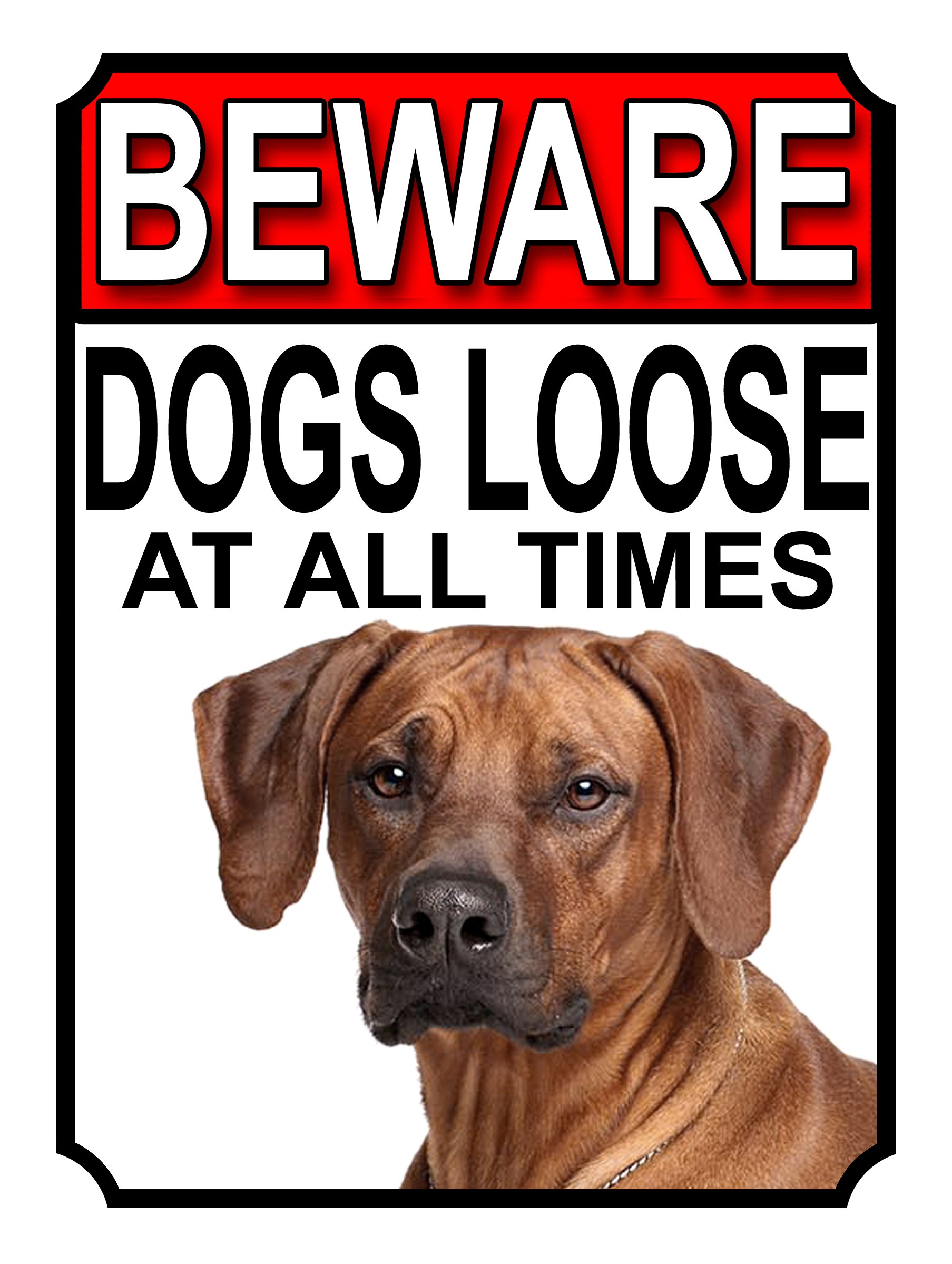 Shawprint Limited BEWARE DOGS LOOSE AT ALL TIMES METAL SIGN RHODESIAN RIDGEBACK 200MM X 150MM (1011H1) — image 1