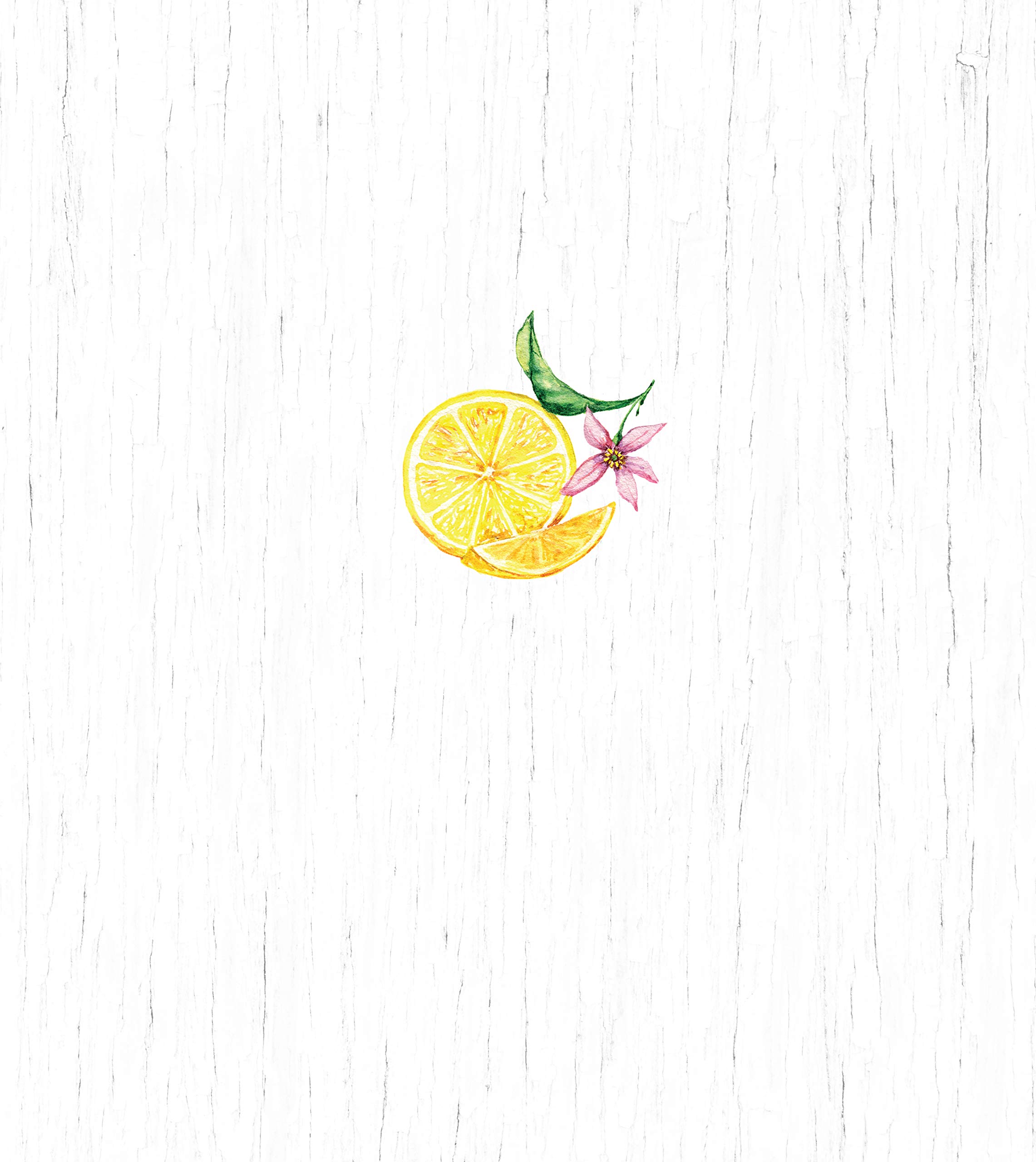 Deluxe Recipe Binder - Favorite Recipes (Lemons) - Write In Your Own Recipes Deluxe Recipe Binder - Favorite Recipes (Lemons) - Write In Your Own Recipes Hardcover