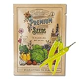 Cayenne Pepper Seeds for Planting - Cayenne Golden