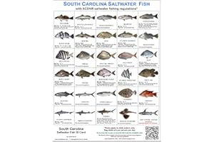 Tackle Box I.D. South Carolina Saltwater Fish Identification Card Set of 3 Waterproof Cards Showing 60 Common Fish and 17 Sharks in True-to-Life Photographs with SCDNR Rules