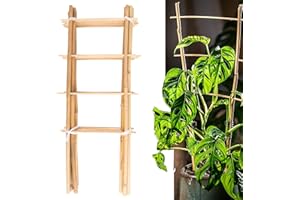 Avalution 10 Pack Natural Bamboo Trellis for Climbing Plants 16" Outdoor Garden Ladder Trellis, Fan -Shaped Plant Support Trellis for Potted Plant