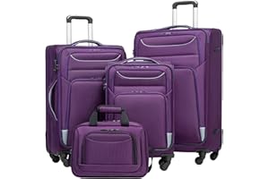 Coolife Luggage 4 Piece Set Suitcase Spinner TSA Lock Softshell lightweight (purple+sliver)