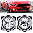 Nilight Fog Lights Assembly Compatible with 2002 2003 2004 2005 2006 Ford Focus SVT 2005 2006 2007 Ford Escape 2003 2004 Ford Mustang Cobra 2002 Lincoln LS Fog Light Replacement