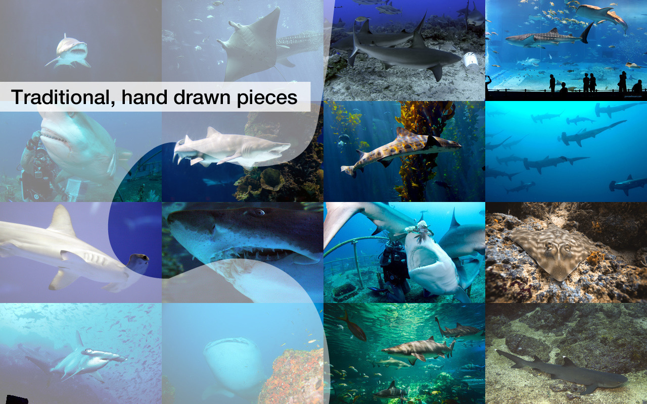 Shark Jigsaw Puzzles