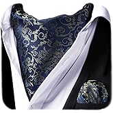 HISDERN Ascot Ties for Men Paisley Cravat Tie and Pocket Square Set Floral Mens Ascot Scarf Handkerchief Wedding Party