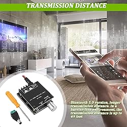 EPLZON 100W+100W Bluetooth Amplifier Board DC 5-24V