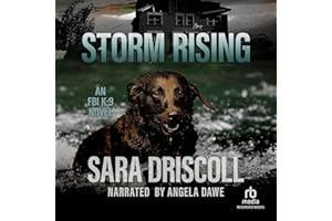 Storm Rising