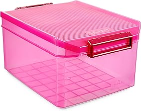 TATAY 1150112 - Caja de Almacenamiento Multiusos con Tapa, 14 l de Capacidad, Plástico Polipropileno Libre de BPA, Rosa Fucsia Translúcido, 27 x 39 x 19 cm 