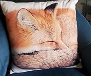 Review Image by J.C.