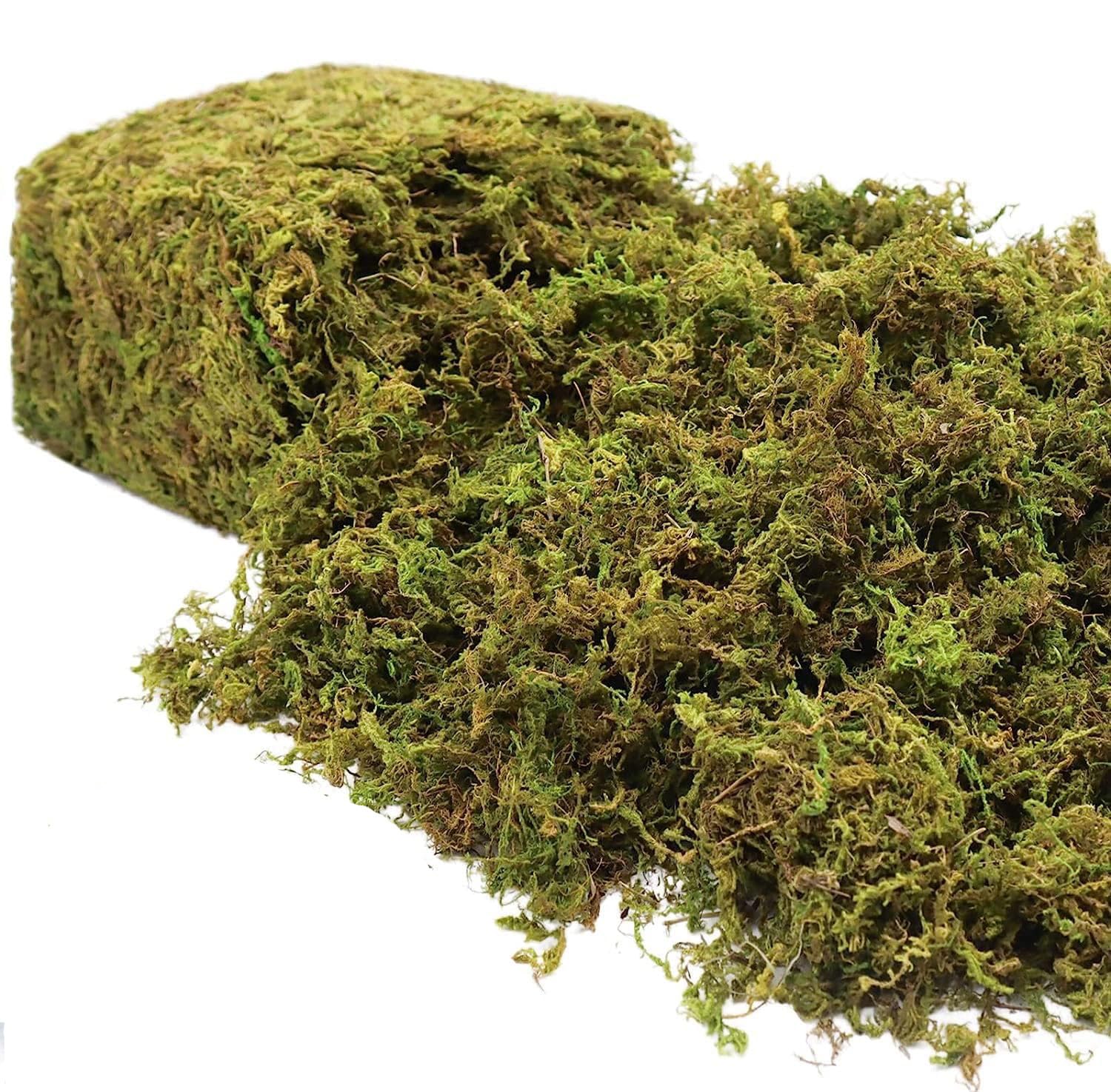 Riare 600g Artificial Fake Moss for Plant- Premium Artificial Moss Fake Green Moos for Potted Plants Faux Green Moos for Centerpieces Home Kitchen Garden Terrariums Decor Christmas Decorative