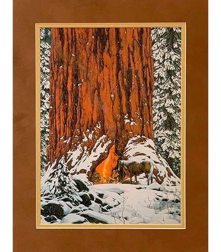 THE ART OF ＢＥＶ　DOOLITTLE The Art of Bev Doolittle: MacLay, Elise, Doolittle, Bev