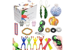 Sensory Toys 19Pcs, Fidget Toys Pack for Kids Adults, Fidget Pack for ADHD Autistic Anxiety Relief with Stress Ball Fidget To
