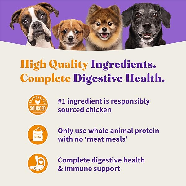 HALO HOLISTIC SMALL BREED DOG FOOD, CAGE FREE CHICKEN & SWEET POTATO RECIPE, GRAIN FREE DRY DOG FOOD, COMPLETE DIGESTIVE HEALTH, 3.5 LB BAG