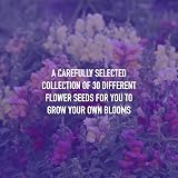 Scott&Co Flower Seed Variety Pack 30 Varieties Bee Butterflies Grow Indoor view 6