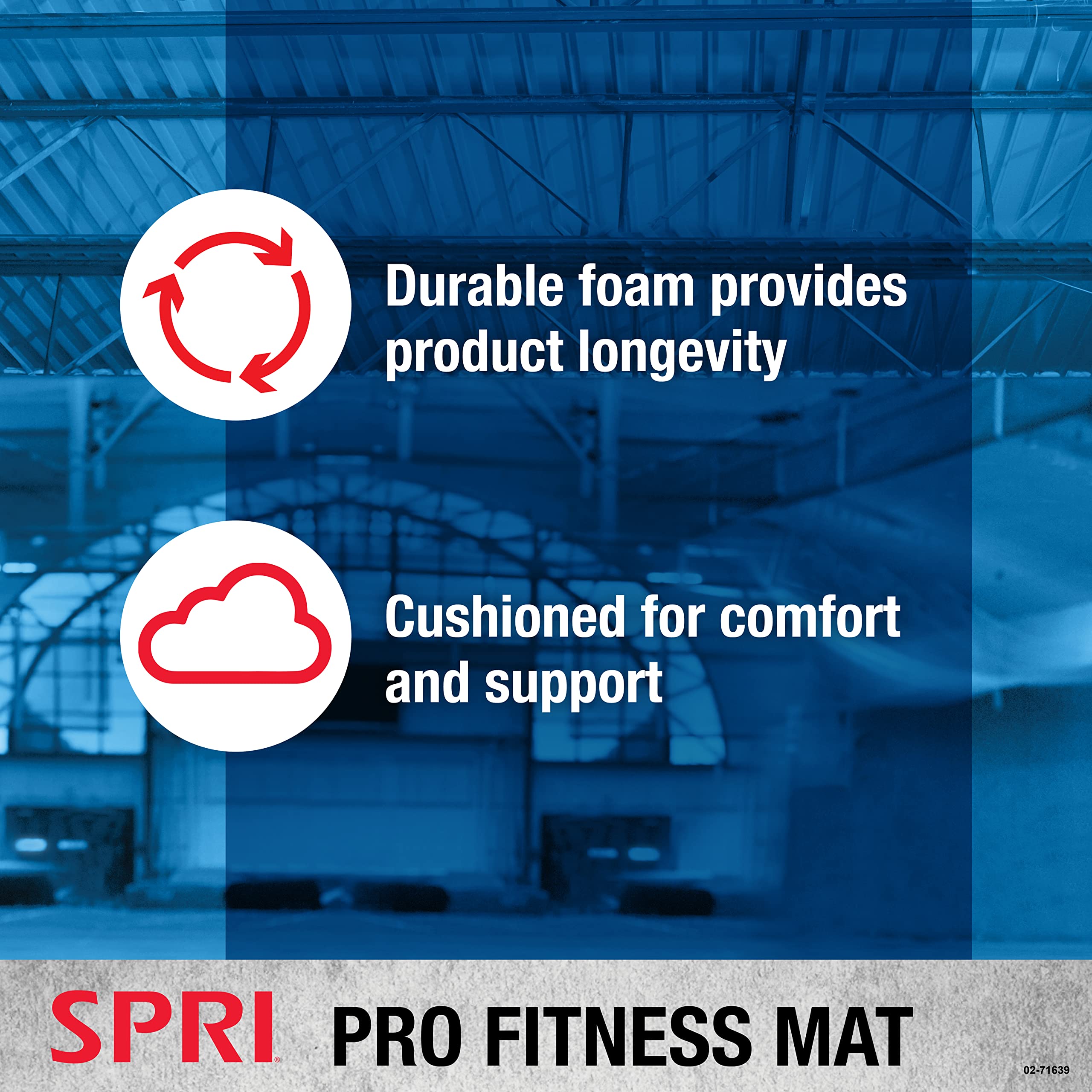 SPRI 12mm Pro Fitness Matt - Thick Exercise Mat for Floor Workouts, Sit-Ups, Push-Ups, Stretching, Toning, and General Fitness - Non-Slip Texture, Cushioned, Portable Rolling Mat with Carrying Strap