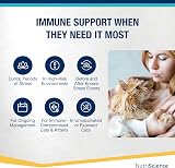 NutriScience LysineAid Cat Gel L-Lysine 50ml Salmon Flavour for Cats & Kittens view 3