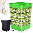 Creative.C Bean Seed Sprouter Kit Micro Greens Growing Trays with Sprout Lid Blackout Sleeves Drain Tray Four Tier Stackable Sprouts Growing Kit for Broccoli Alfalfa Seed Wheat Grass