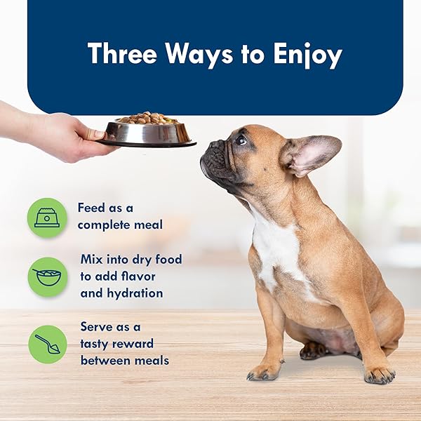 BLUE BUFFALO DELIGHTS NATURAL ADULT SMALL BREED WET DOG FOOD, VARIETY PACK, MADE WITH NATURAL INGREDIENTS, FILET MIGNON & NEW YORK STRIP RECIPE IN HEARTY GRAVY, 3.5-OZ. CUPS (12 COUNT, 6 OF EACH)