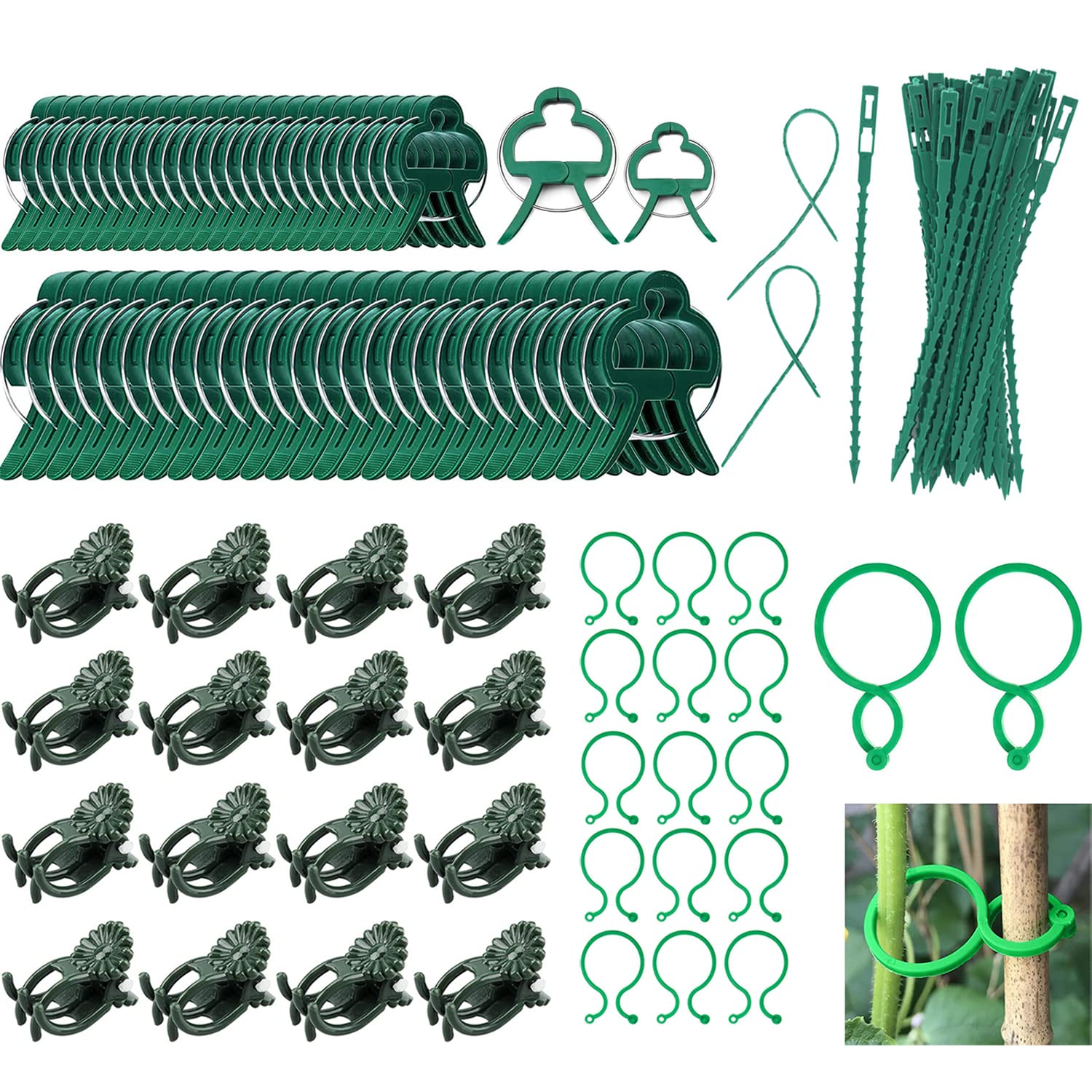 Aandyou Plant Clips,110 Pcs Garden Plant Support Clips with Adjustable Plant Ties for Climbing Plants,Green Plant Support Clips and Orchid Clips Twisty Plant Rings for Vine Tomatoes Garden Vegetables