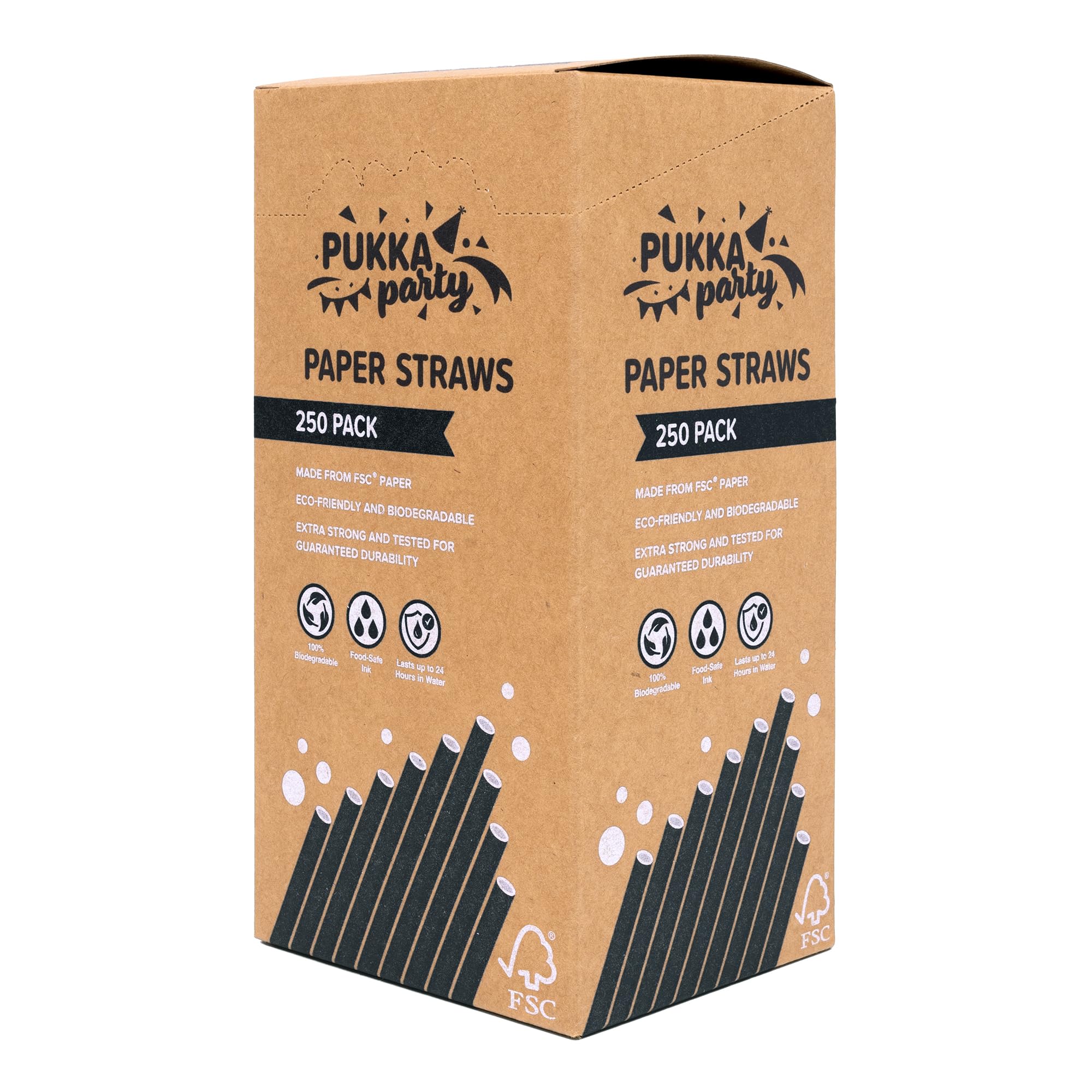 PUKKA party Paper Straws – Pack of 250 Eco-Friendly, Biodegradable Drinking Straws – Extra Strong Durability, Lasts up to 24 Hours in Water – Counter Display Unit with Tear-Away Top – Black, 19.5cm