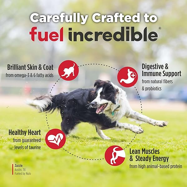 NULO FREESTYLE ADULT DRY DOG FOOD – TURKEY & SWEET POTATO, PREMIUM GRAIN FREE DOG FOOD WITH PROBIOTICS FOR HEALTHY GUT, SKIN AND COAT, NATURAL HIGH PROTEIN KIBBLE FOR SMALL, MEDIUM, LARGE BREEDS, 6LB
