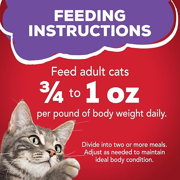 FRISKIES MEATY BITS WITH BEEF IN GRAVY, 5.5 OZ