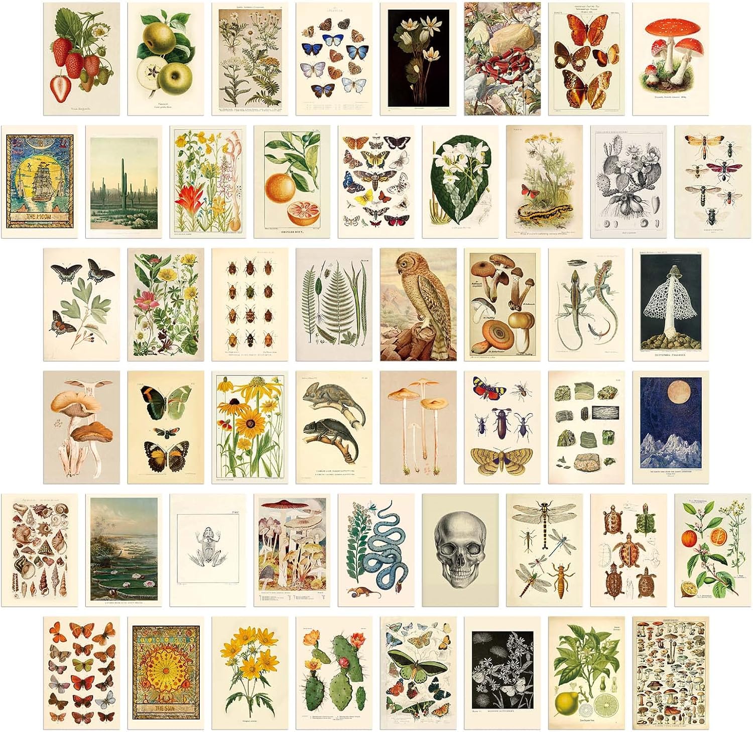 Wall Décor - LA MAISON COZY 50PCS Boho Wall Collage Kit, Boho Room Posters Art Print, 4x6'' Vintage Wall Decor Gift for Teen Girls' Dorm Room