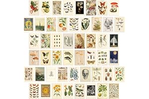 LA MAISON COZY 50PCS Boho Wall Collage Kit, Boho Room Posters Art Print, 4x6'' Vintage Wall Decor Gift for Teen Girls' Dorm Room