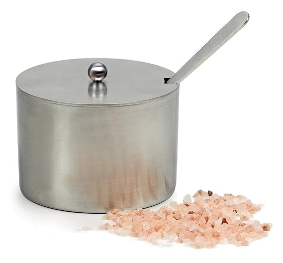 Brushed Stainless Steel Salt Cellar with Spoon Sugar