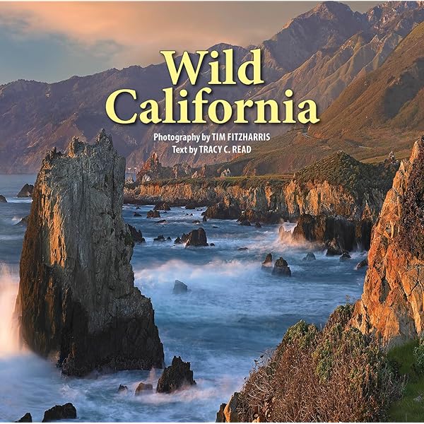 California: Portrait of a State: Muench, David, Muench, Marc