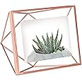 Umbra Prisma Picture Frame, 4x6 Metal Photo Display for Desk or Wall, 4" x 6", Copper