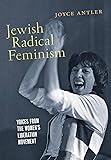 Jewish Radical Feminism: Voices from the Women’s Liberation Movement (Goldstein-Goren Series in American Jewish History)