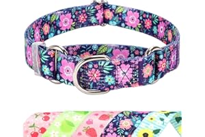 MAOWUWUJOZ Martingale Dog Collar for Small Medium Large Pet Dogs，No-Slip Escape Proof Choke No Pull Dog Collar for Male and Female Dogs Walking Running Training -Bohemia Flowers L