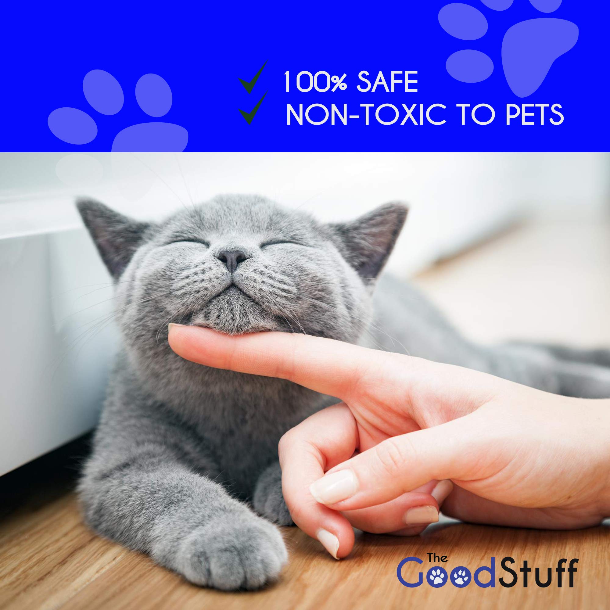 Cat Scratch Tape Furniture Protectors Guard Your Couch Doors