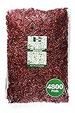 NPG Dried Sichuan Red Chili Peppers Whole 5